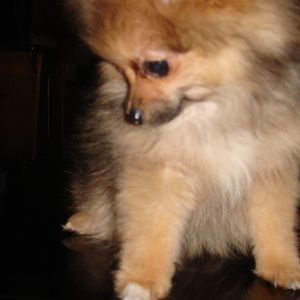 Meet your Posher, Kim